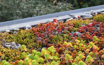 the cost of Penyraber green roof installation