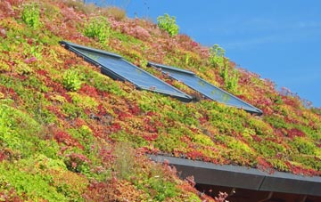 Penyraber living roof systems