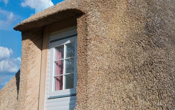 Penyraber thatch roof disadvantages