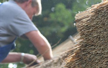 professional Penyraber thatchers