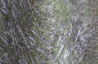 Penyraber fibreglass roof work