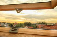 rated Penyraber roof window companies